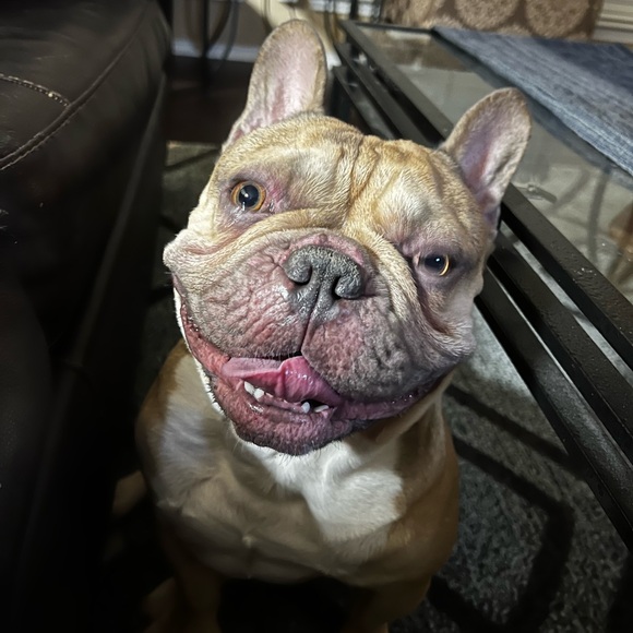 Thank Your Share Show Host - read description! - Picture 9 of 15